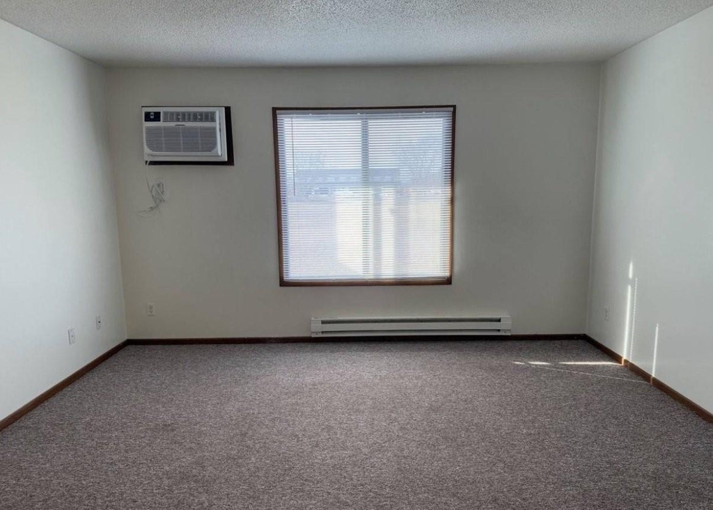 1127 S Linn Street - Photo 6