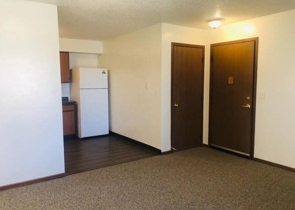 1127 S Linn Street - Photo 5