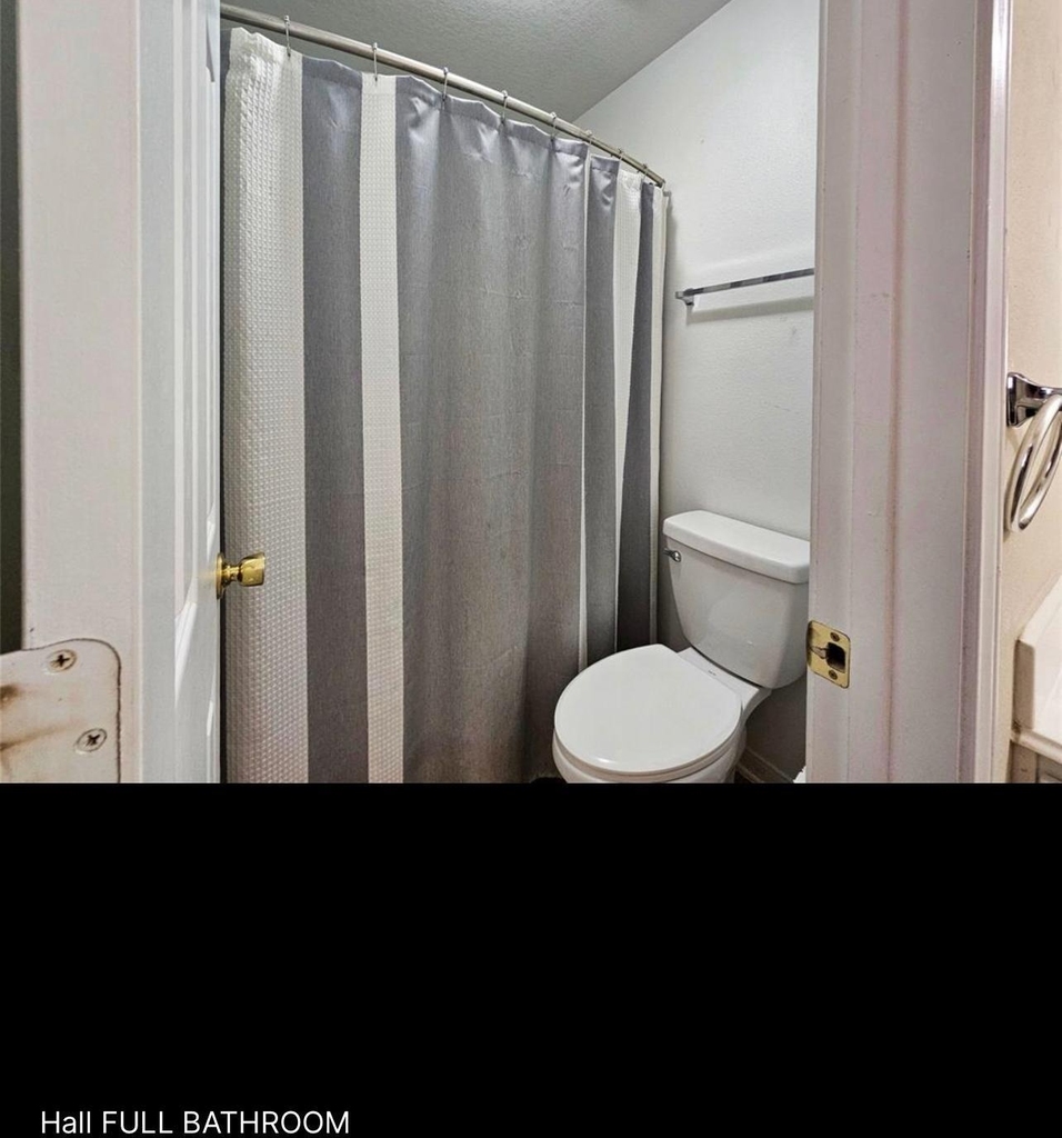 29433 Forest Floor Lane - Photo 12
