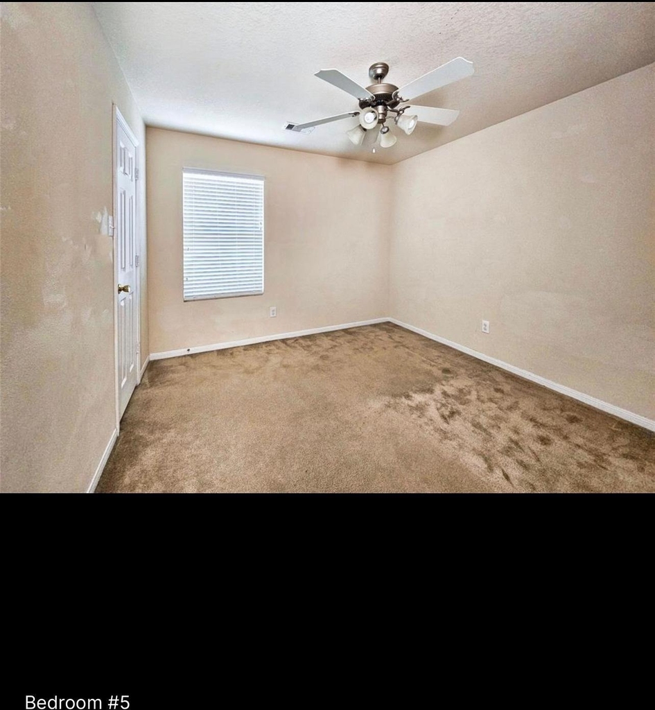 29433 Forest Floor Lane - Photo 6