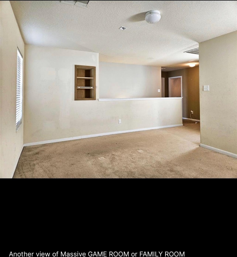 29433 Forest Floor Lane - Photo 10