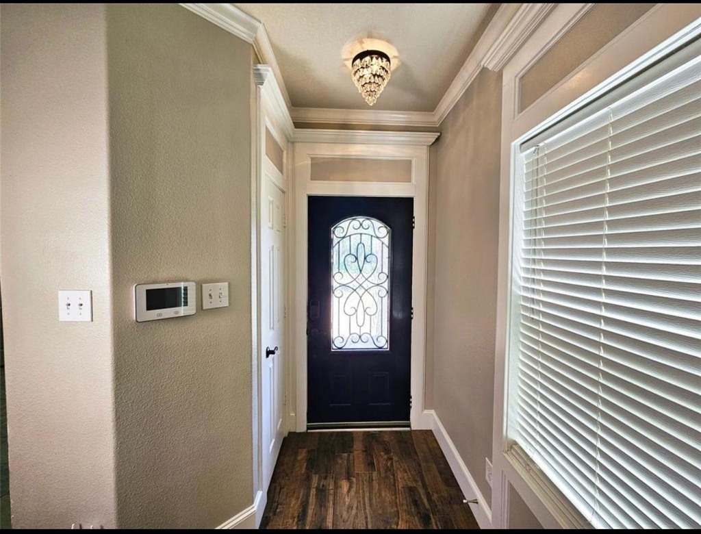 29433 Forest Floor Lane - Photo 15