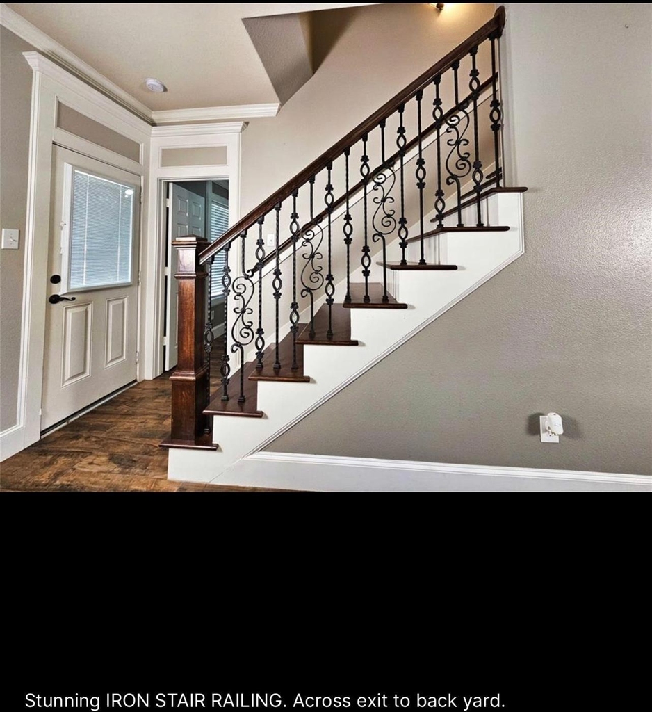 29433 Forest Floor Lane - Photo 2