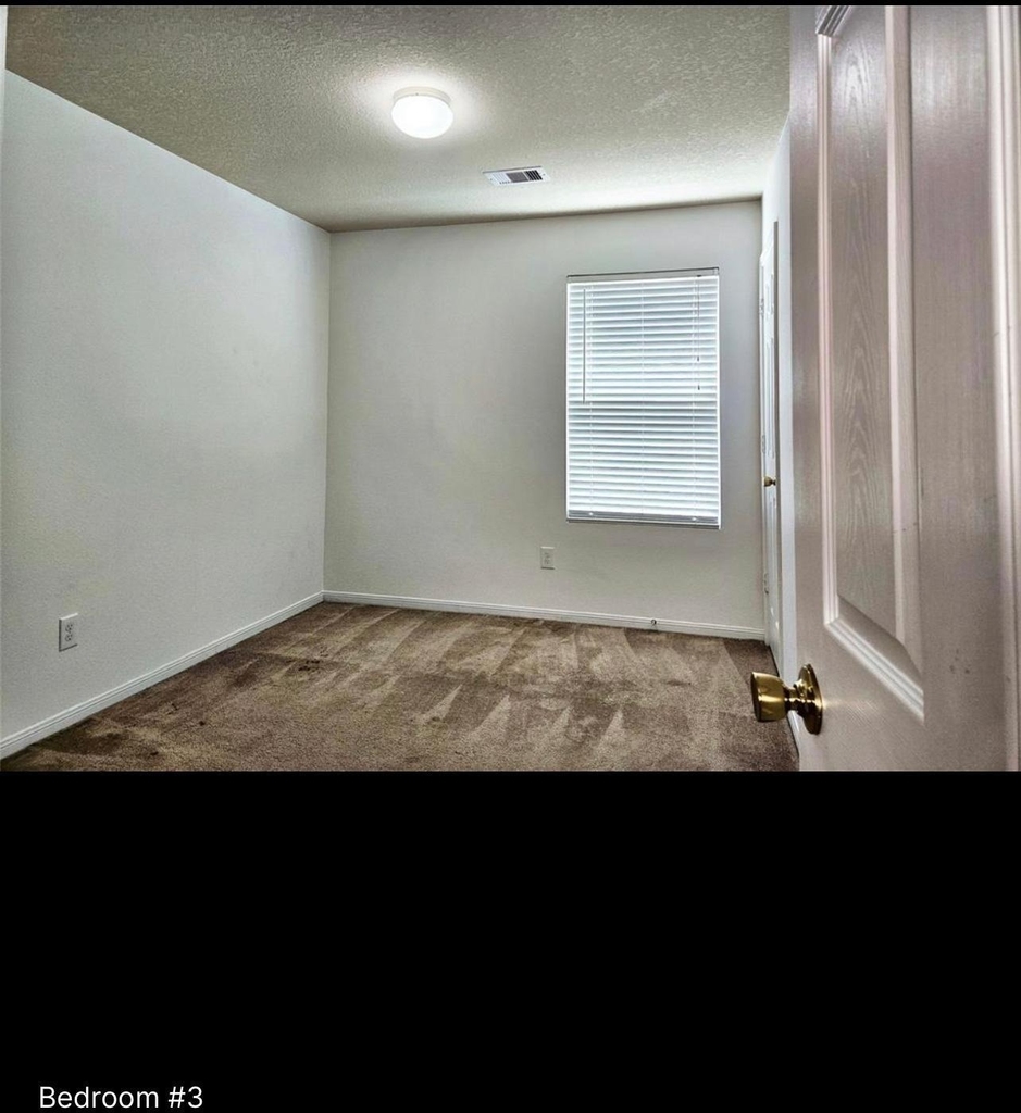 29433 Forest Floor Lane - Photo 8