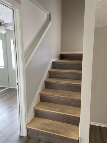 9831 W Walnut Street - Photo 15