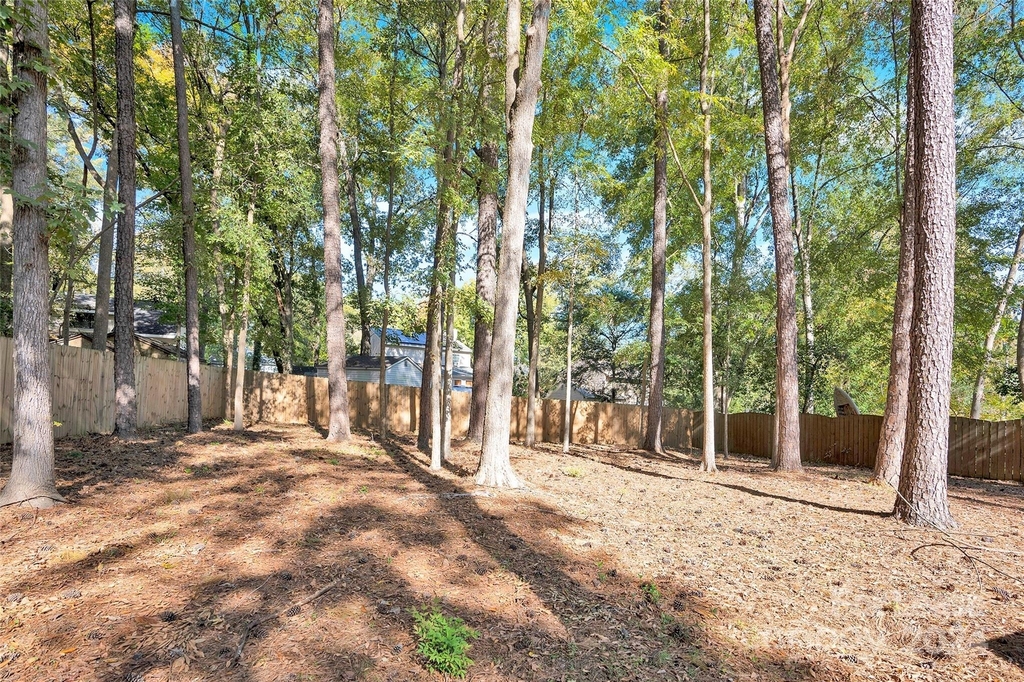 11116 Vista Canyon Drive - Photo 6