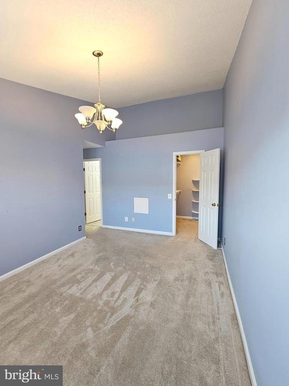 8202 Catbird Circle - Photo 14