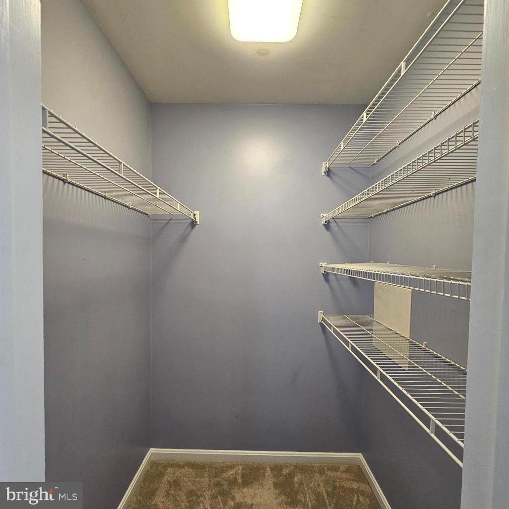 8202 Catbird Circle - Photo 20