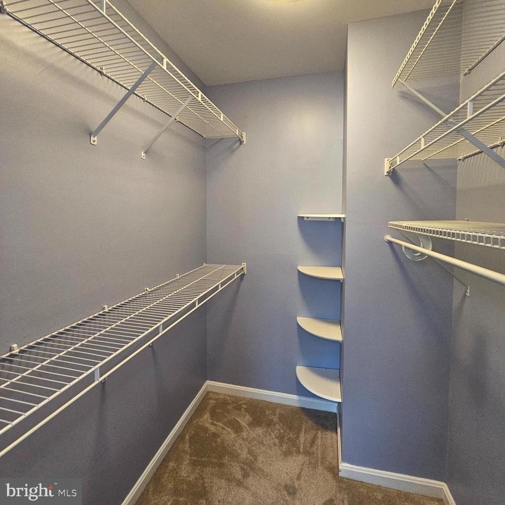 8202 Catbird Circle - Photo 16