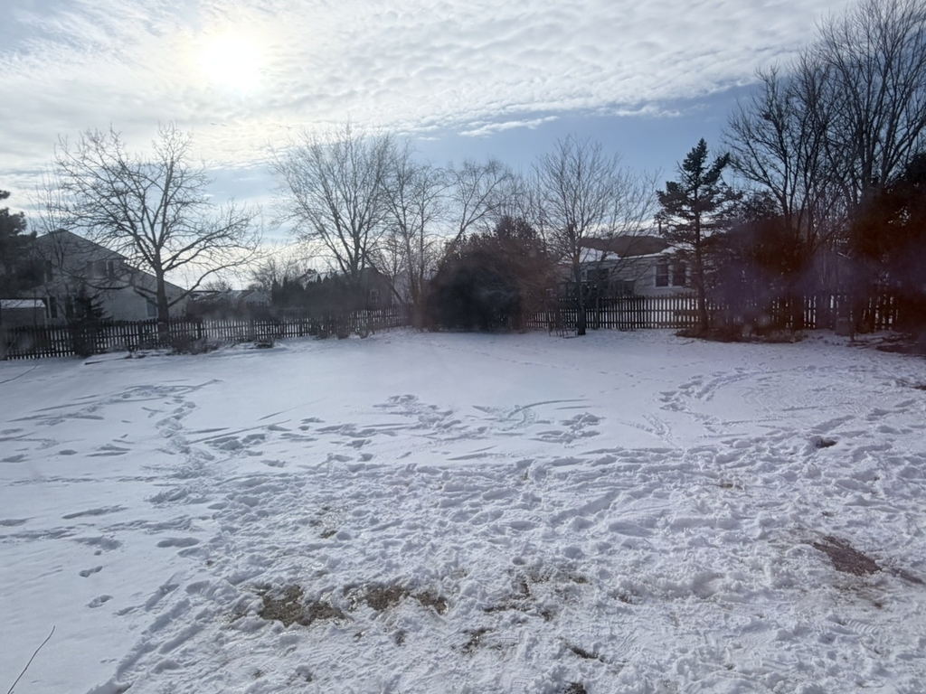 1817 Altoona Court - Photo 14