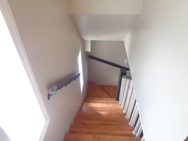 2225 Mimosa Drive - Photo 12