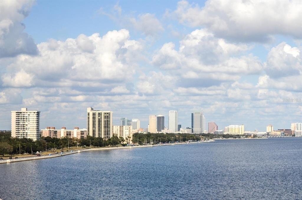 3301 Bayshore Boulevard - Photo 20