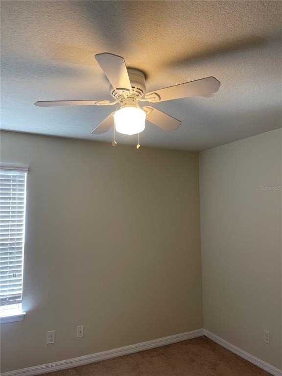 4755 Somerset Hill Lane - Photo 10