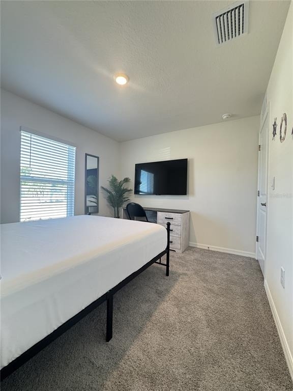7272 Apache Trail - Photo 5