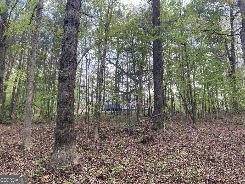 164 Glenn Carrie Road - Photo 15