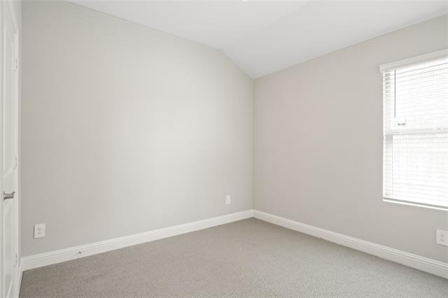 1244 Coneflower Place - Photo 12