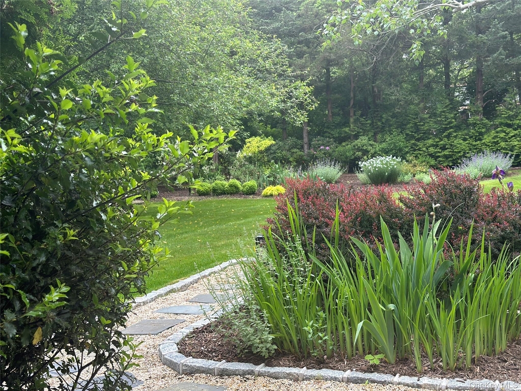 3 1st Place - Photo 10