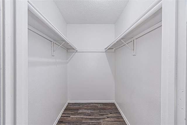 300 W Wintergreen Road - Photo 13