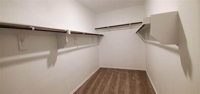 813 Fueller Drive - Photo 23