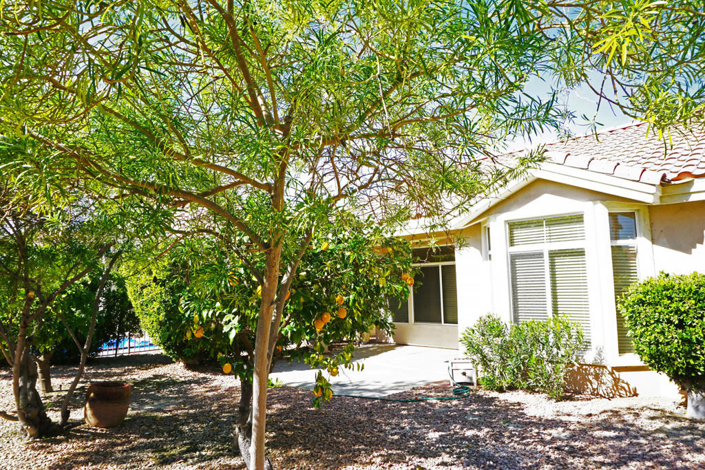78359 Moongold Road - Photo 8