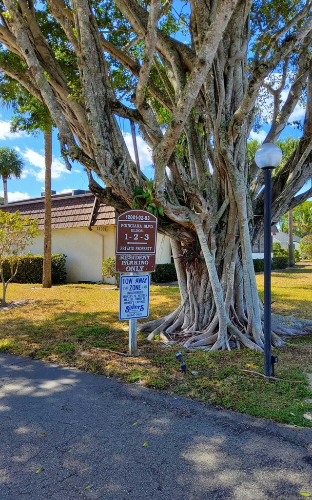 12003 Poinciana Boulevard - Photo 6