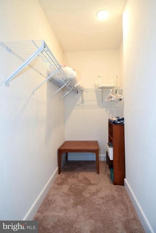 23610 Havelock Walk Terrace - Photo 27