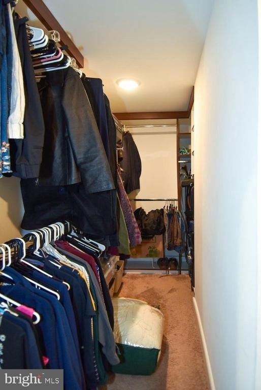23610 Havelock Walk Terrace - Photo 24