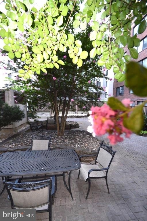 1245 13th Street Nw - Photo 20