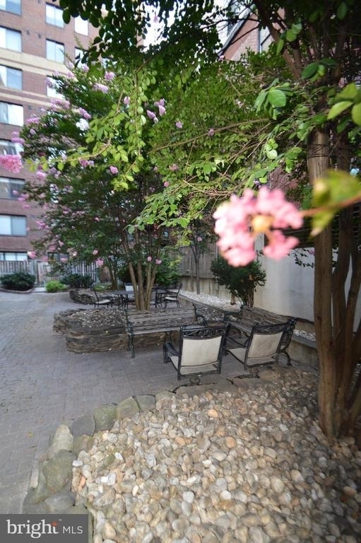 1245 13th Street Nw - Photo 21