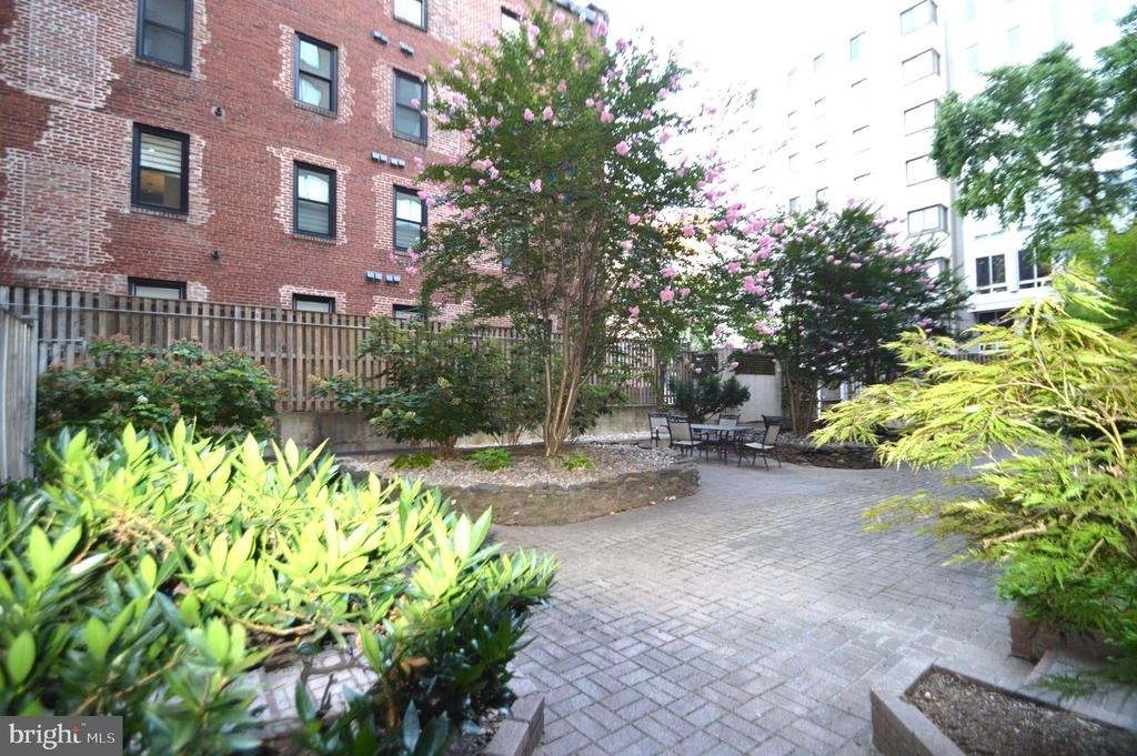 1245 13th Street Nw - Photo 4
