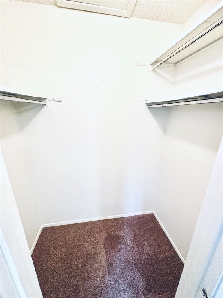 12504 Tree Line Dr - Photo 17
