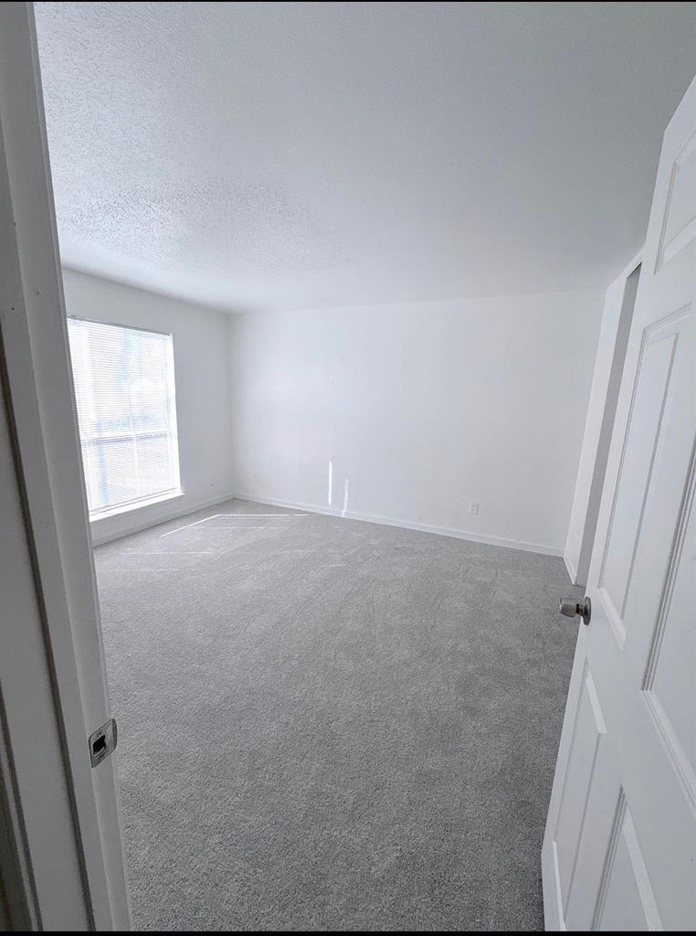 5625 Antoine Drive - Photo 2