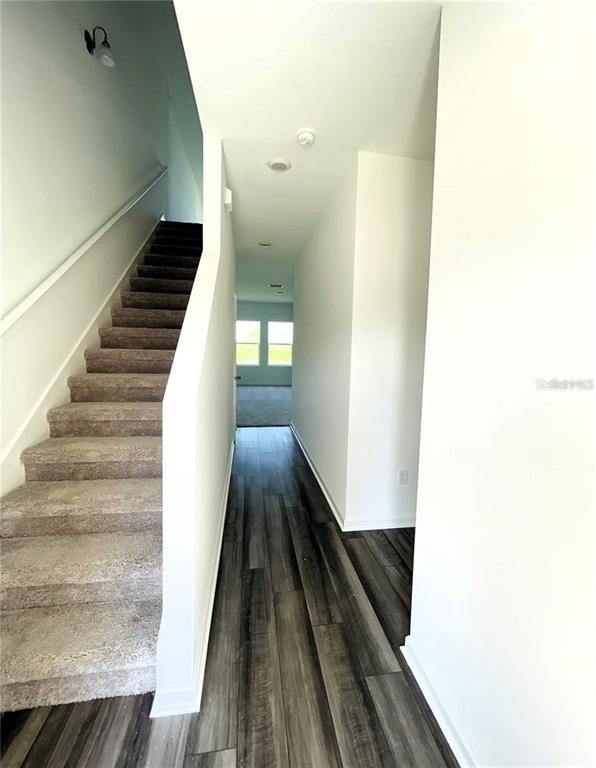 35545 Shade Fern Lane - Photo 5