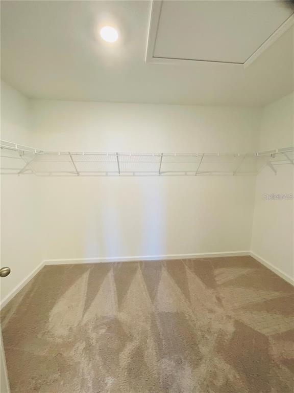 35545 Shade Fern Lane - Photo 19