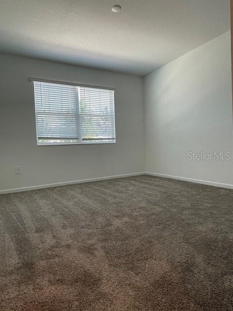 1609 Cross Prairie Parkway - Photo 38
