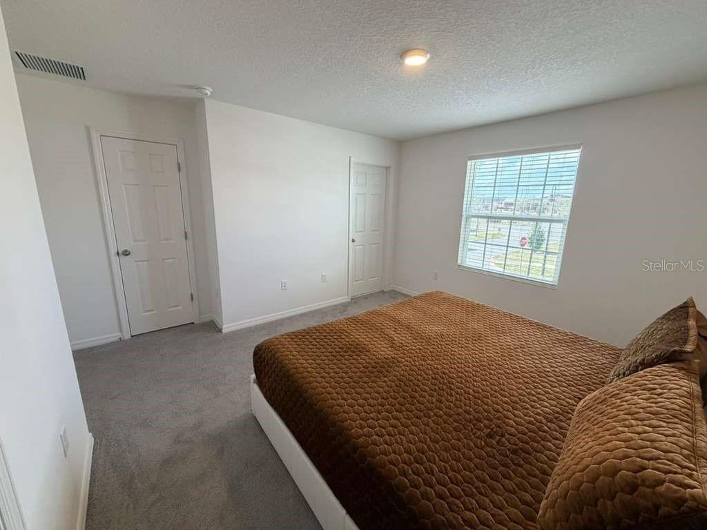 1239 Sand Torch Circle - Photo 47