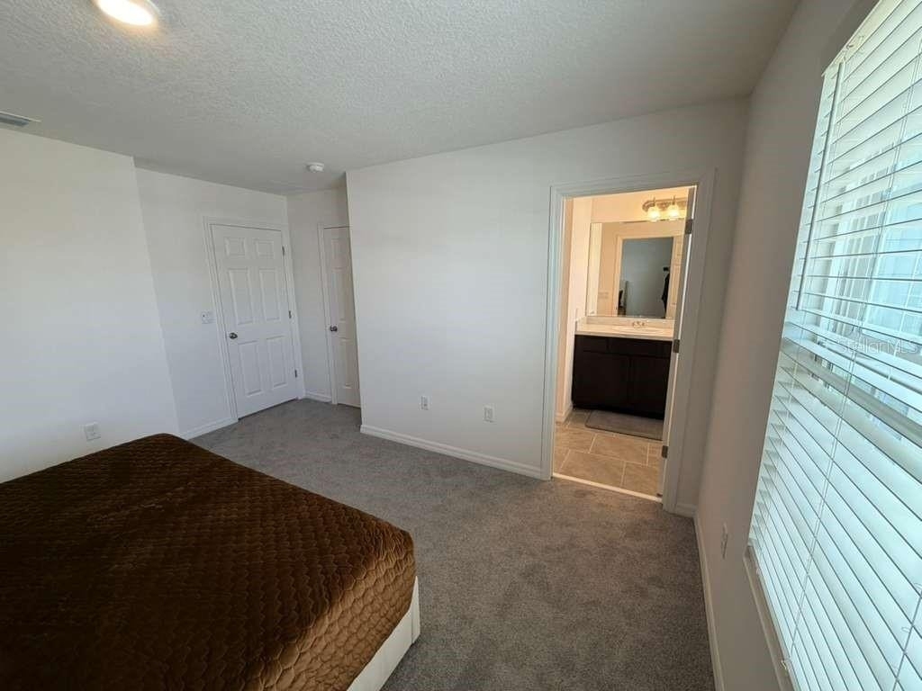 1239 Sand Torch Circle - Photo 48