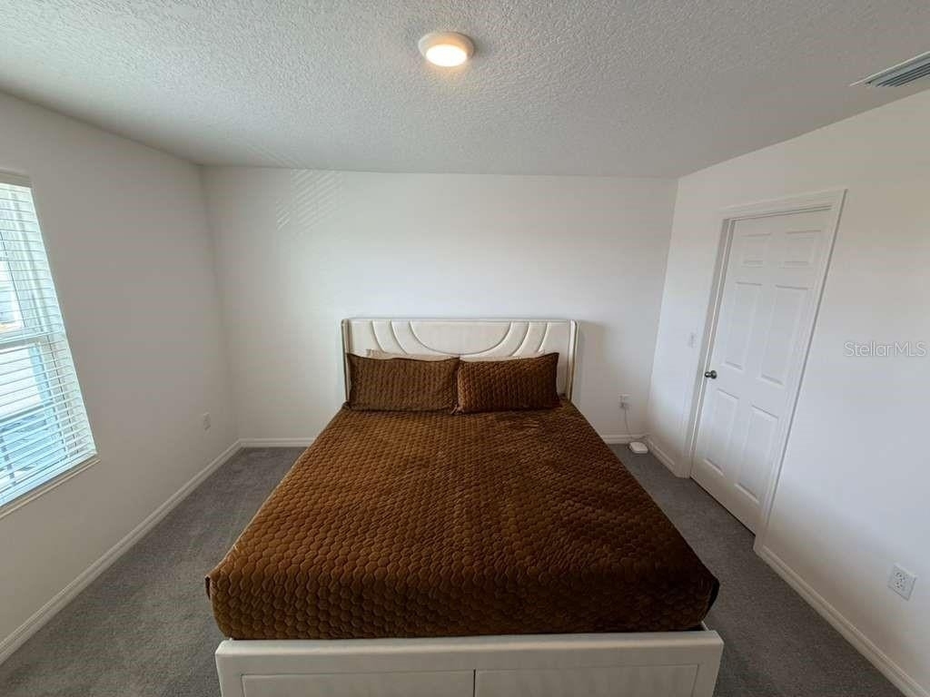 1239 Sand Torch Circle - Photo 44