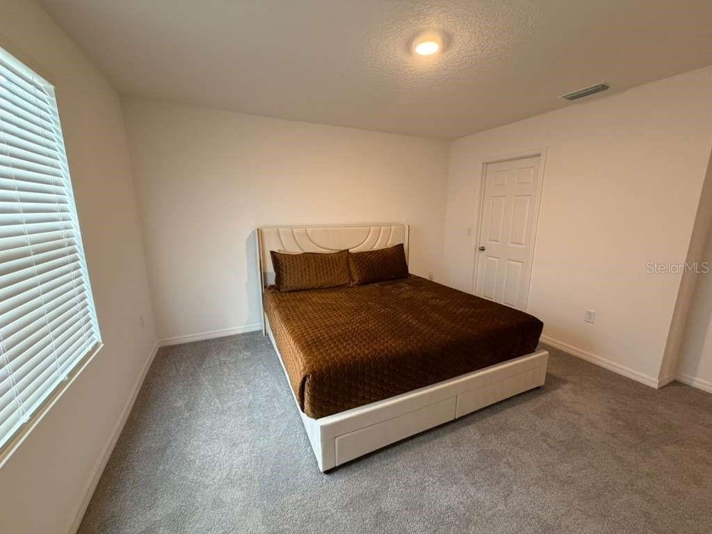 1239 Sand Torch Circle - Photo 22