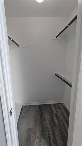 623 Antonio Lane - Photo 8