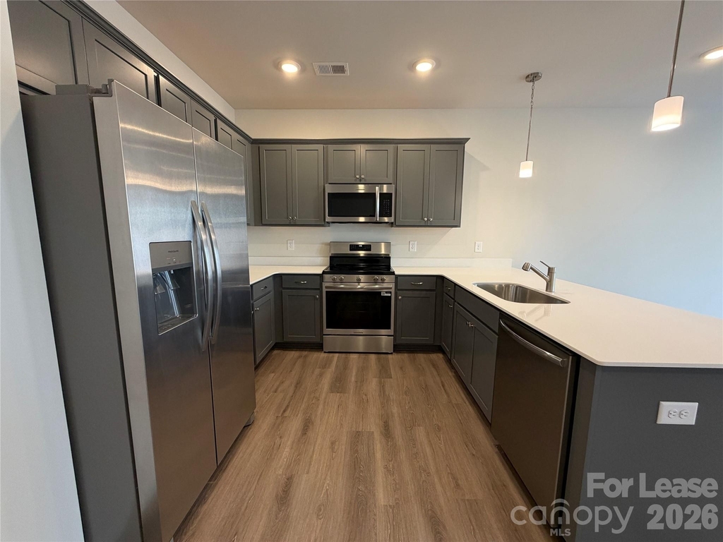 2529 Ruby Dixon Crossing Drive - Photo 1