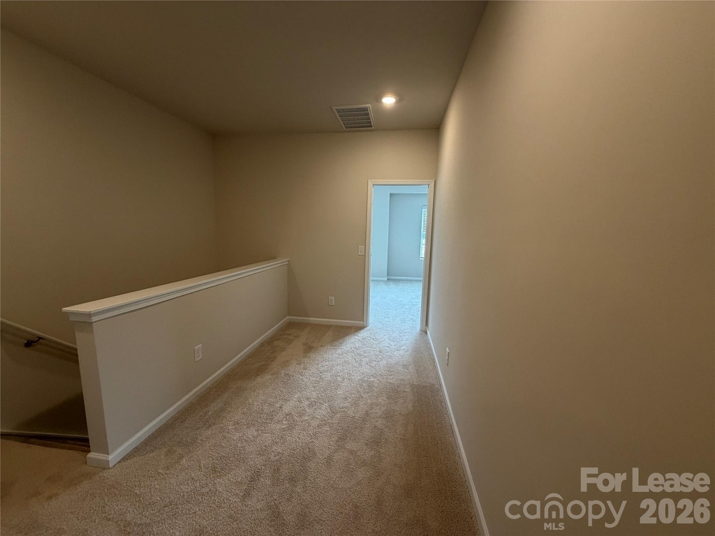2529 Ruby Dixon Crossing Drive - Photo 13