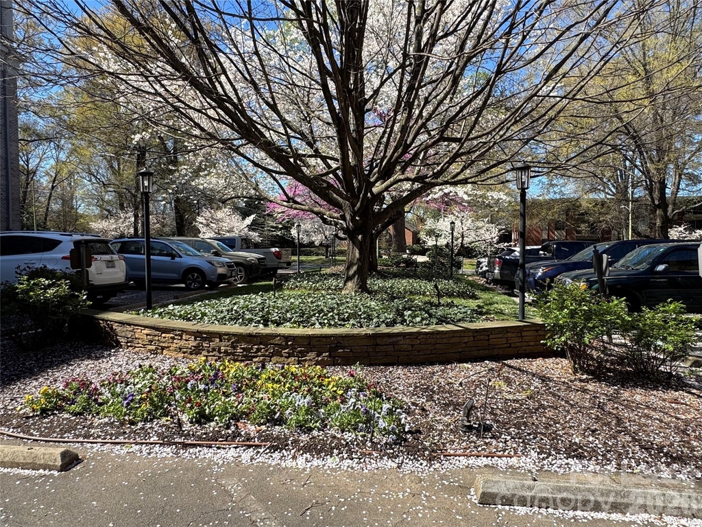 1323 Queens Road - Photo 42