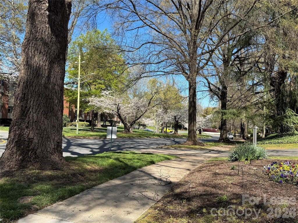1323 Queens Road - Photo 41