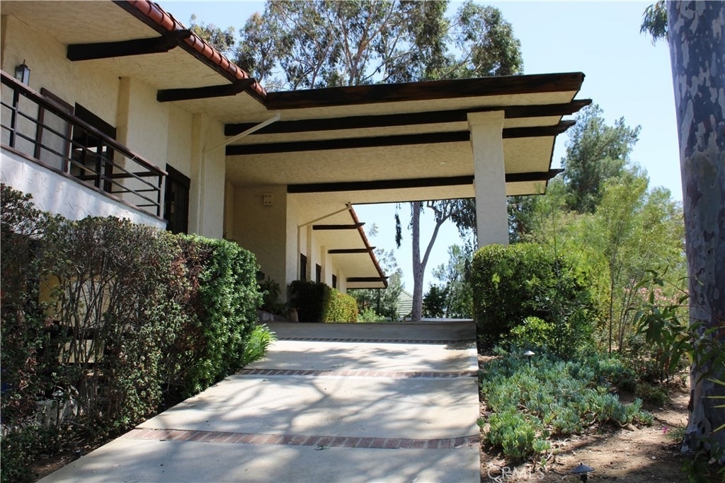 14 Appaloosa - Photo 1