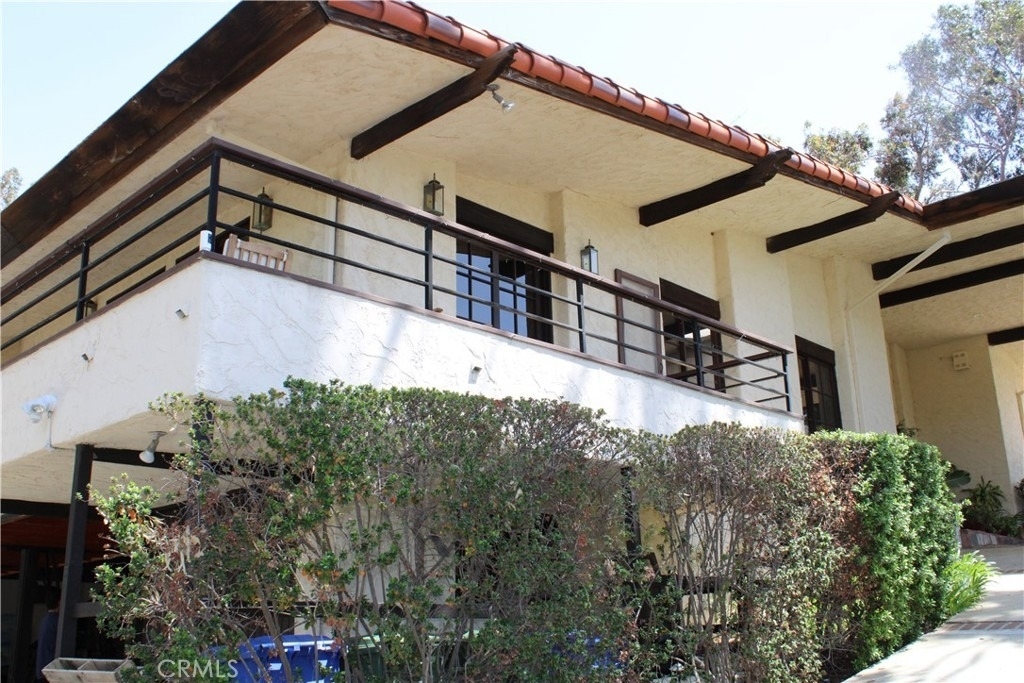 14 Appaloosa - Photo 4
