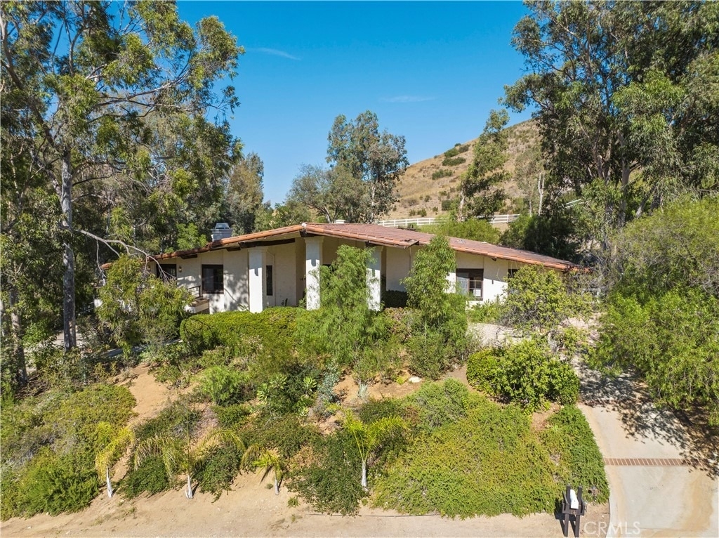 14 Appaloosa - Photo 2