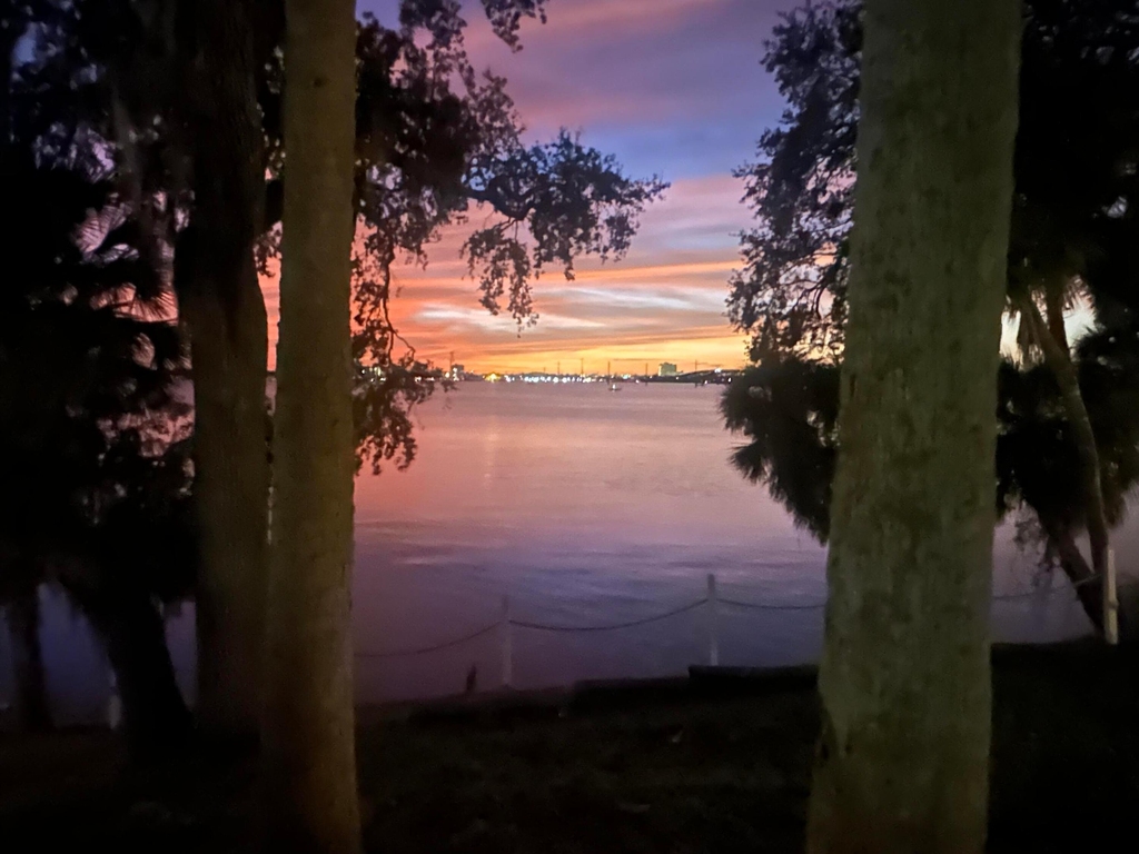 225 S Tropical Trail - Photo 4