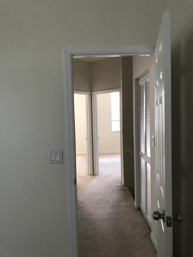 141 E Thatch Palm Circle - Photo 21