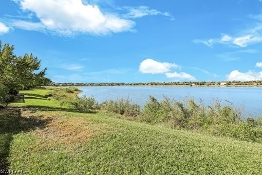 16315 Bonita Landing Circle - Photo 29